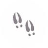 Asset%205%402x_edited.png
