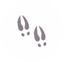 Asset%205%402x_edited.png