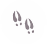 Asset%205%402x_edited.png